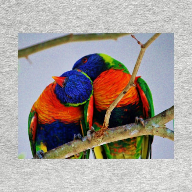 Love Birds by Cynthia48